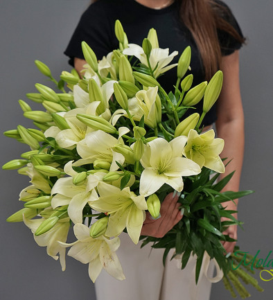 Crin alb foto 394x433